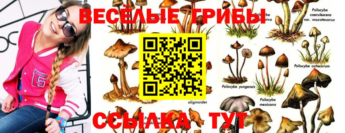 Павловский Посад  Галлюциногенные грибы Cubensis  Галлюциногенные грибы прущие грибы  Вход с VPN 